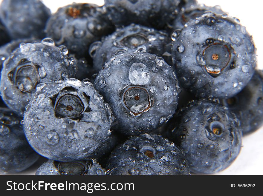 Very fresh and sweet bilberries