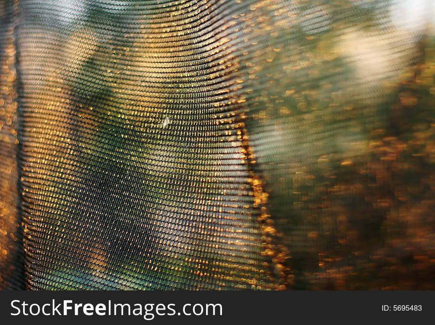 Golden background of net with shallow depth of field