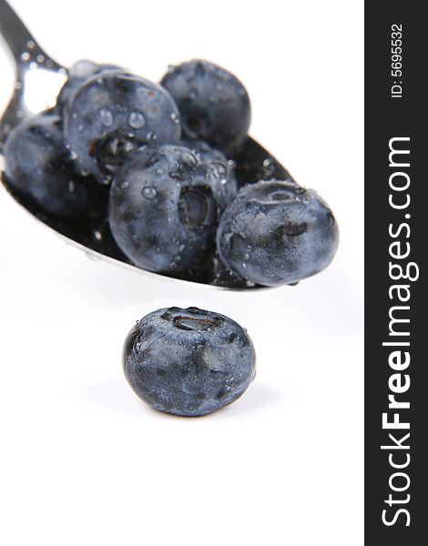 Very fresh and juicy bilberries