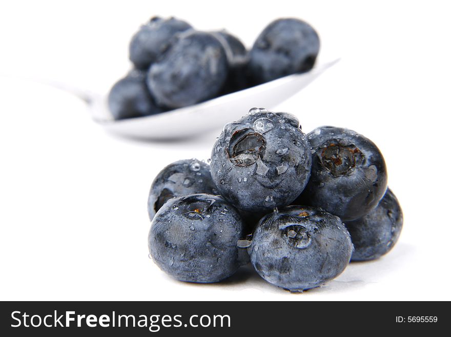 Very fresh and juicy bilberries