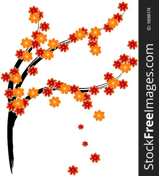 Vector illustration of colorful flowers. Vector illustration of colorful flowers