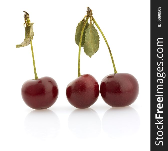 Dark red ripe berries with stems on white background. Dark red ripe berries with stems on white background