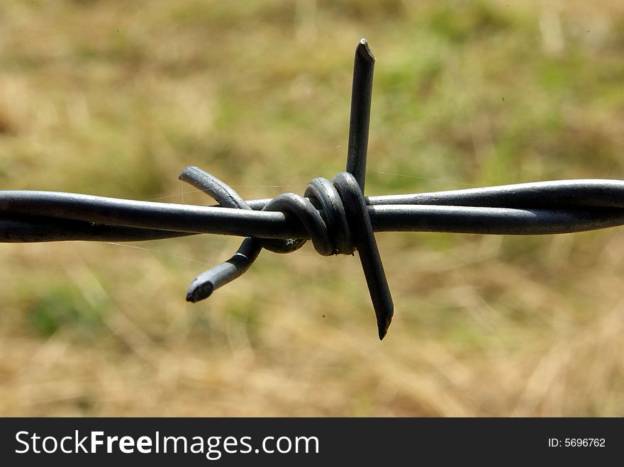 Close-up of a barbed wire around a field.