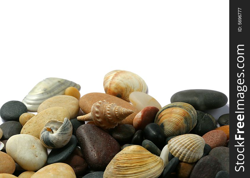 Seashells  and stones on white background