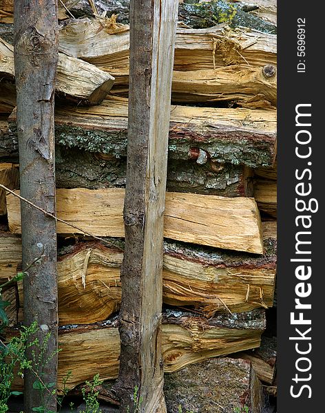 Close-up of a stock of wood logs. Close-up of a stock of wood logs