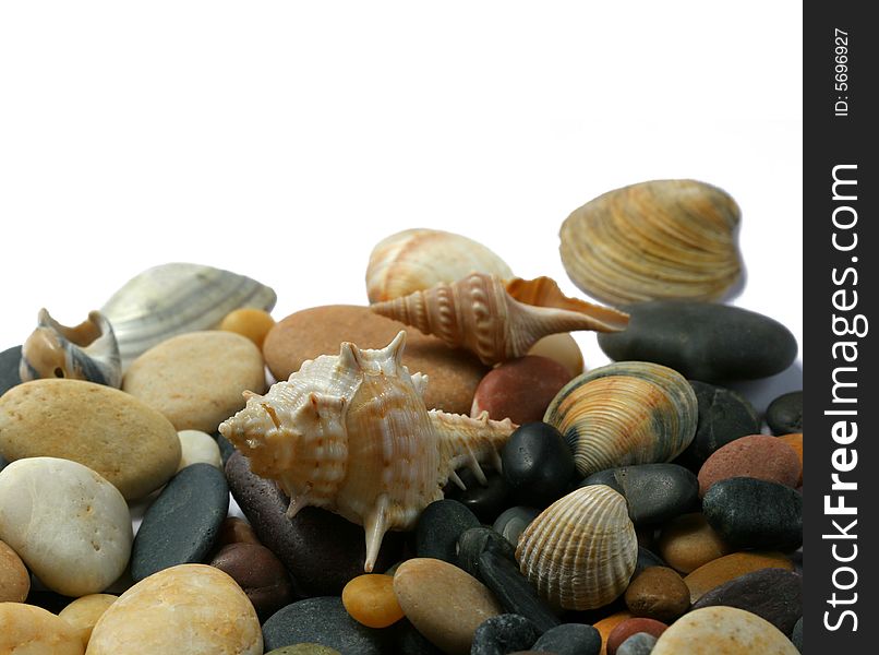 Seashells  and stones on white background