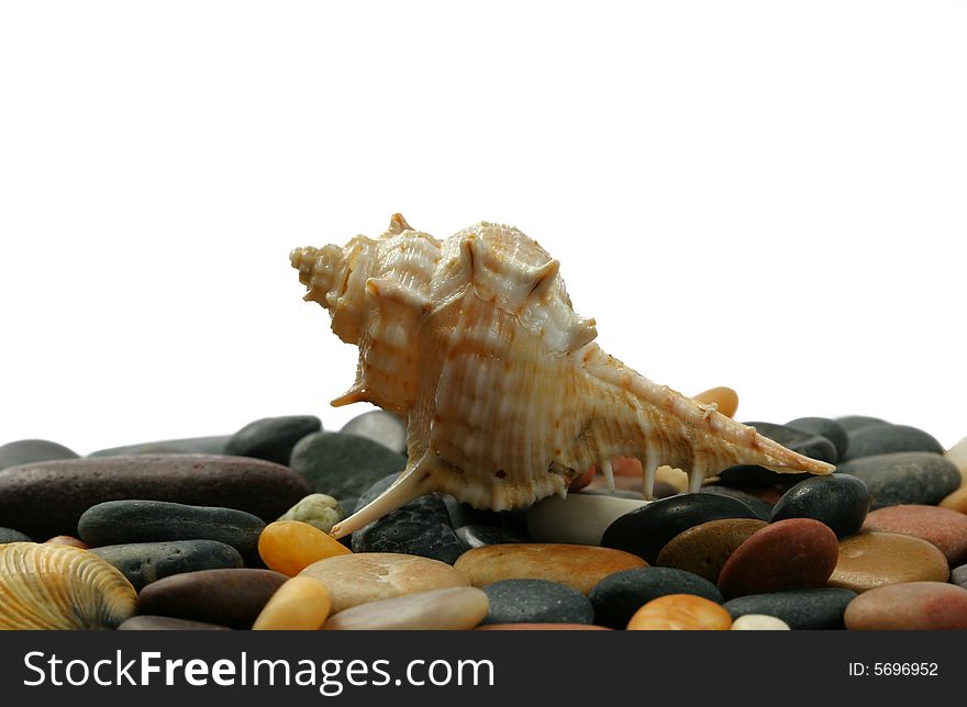 Seashell and stones isolated on white background