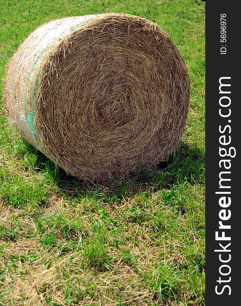 Rolled hay in a field. Rolled hay in a field.