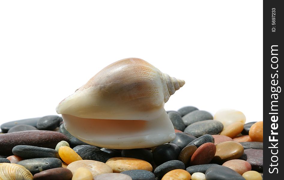 Seashell and stones isolated on white background