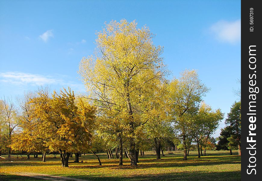 Golden Autumn Landscape