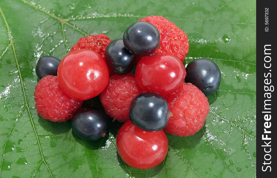 Fruits on the green leaf
