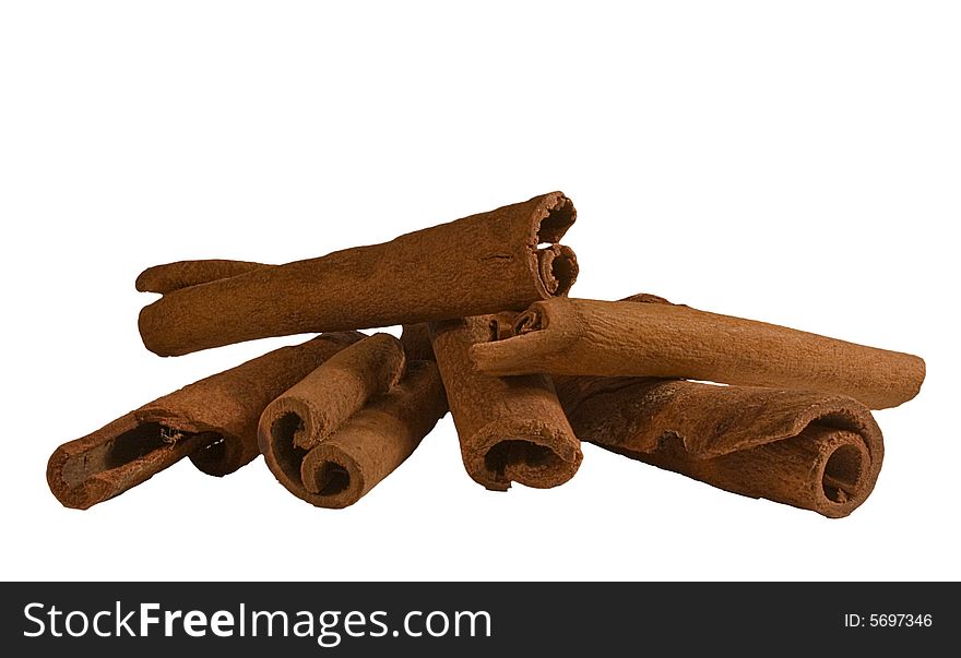 Cinnamon Bark