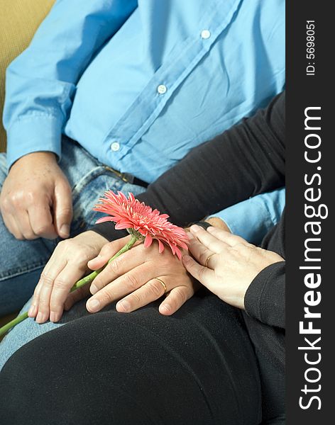 A couple, the woman holding a pink flower, hold hands. - vertically framed. A couple, the woman holding a pink flower, hold hands. - vertically framed