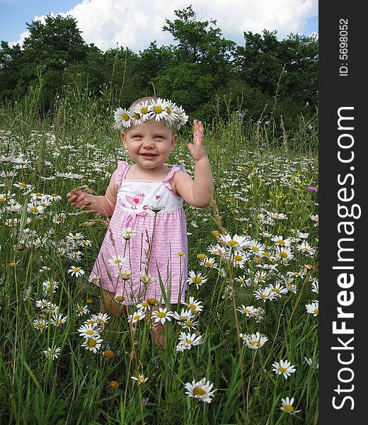 Little girl on summer meadow of camomiles. Little girl on summer meadow of camomiles