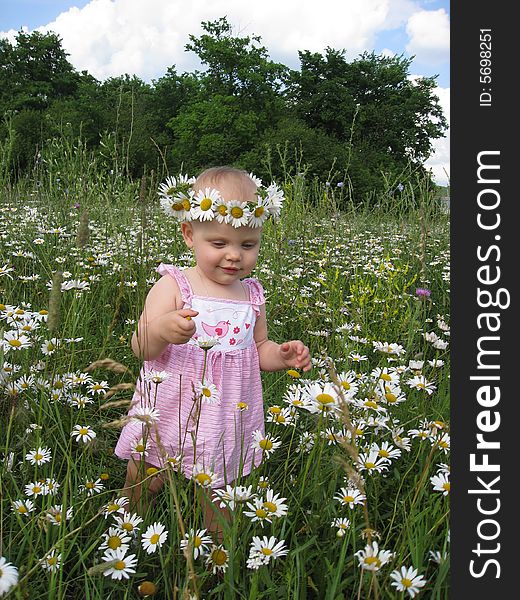Little girl on summer meadow of camomiles. Little girl on summer meadow of camomiles