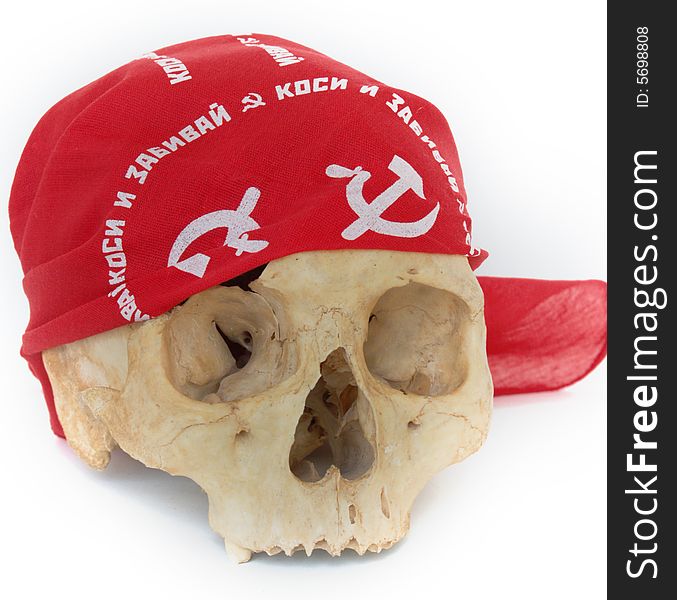 Skull And Bandanna