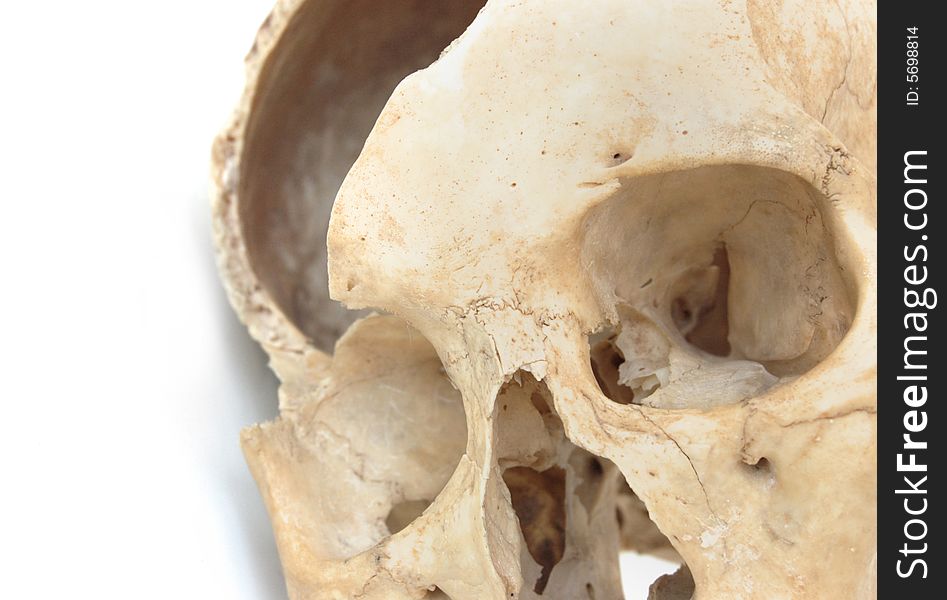 Old broken skull against white background