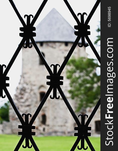 Iron Decorative lattice