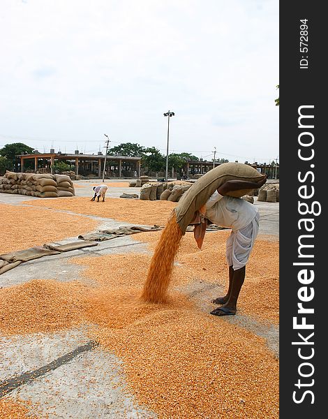 Man working in market yard. Man working in market yard