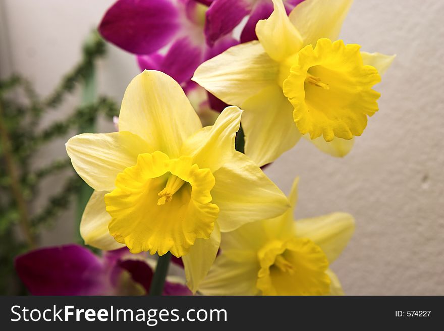 Yellow daffodil bouquet close-up. Yellow daffodil bouquet close-up