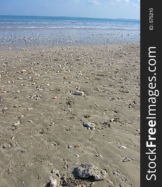 Rocky beach with lots of seashells. Rocky beach with lots of seashells