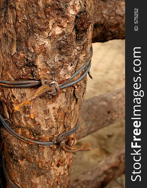 Old wooden fence post with rusty barbed wire. Old wooden fence post with rusty barbed wire