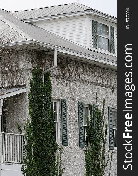 Ivy on stucco walls on coastal cottage. Ivy on stucco walls on coastal cottage