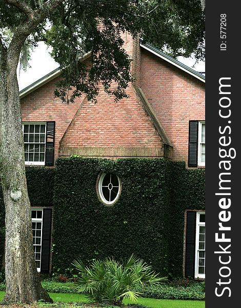 Ivy on Brick