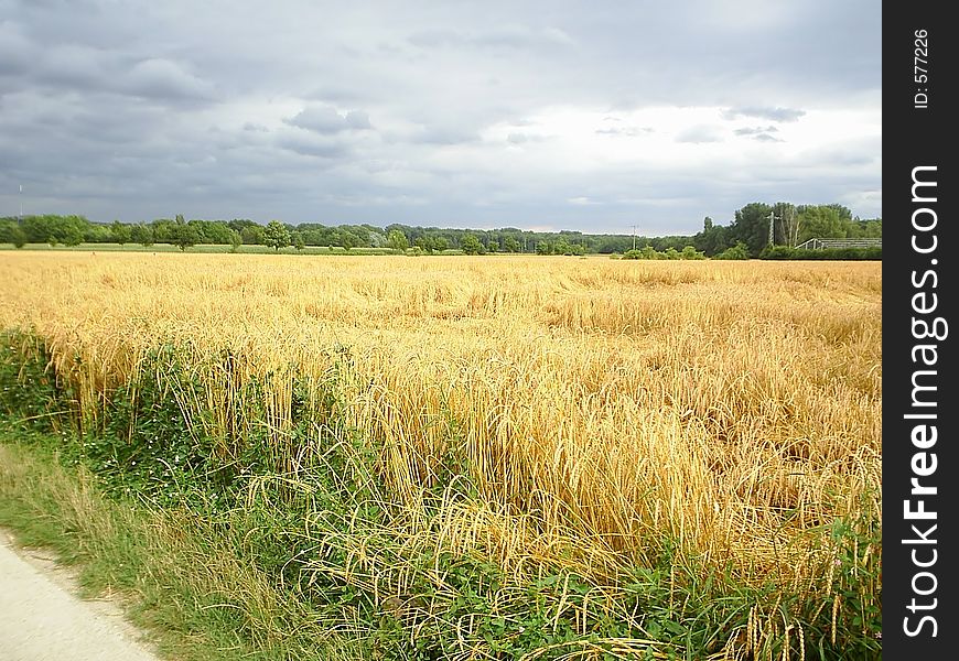 Picture of the field after the storm