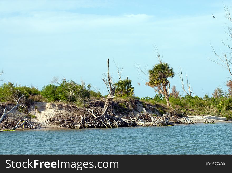 Riverbank showing erosion by waves and current. Riverbank showing erosion by waves and current