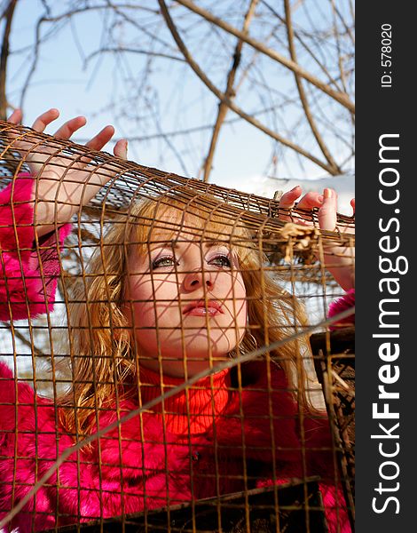 The young girl in a wood and cell. The young girl in a wood and cell