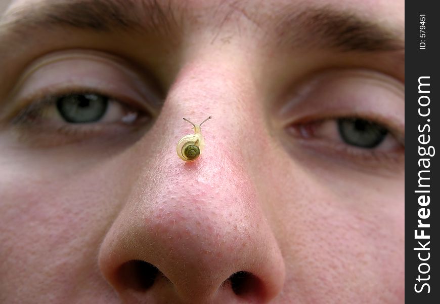 Small snail on man's nose