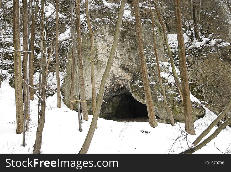 Cave And Trees At Winter