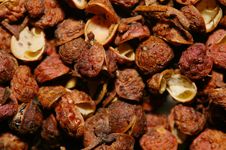 Pepper Macro Royalty Free Stock Photo Pepper Macro Royalty Free Stock Photo