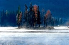 Misty Morning Royalty Free Stock Images Misty Morning Royalty Free Stock Images