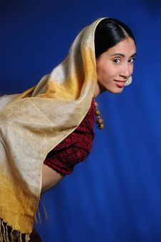 Indian Beauty Royalty Free Stock Images