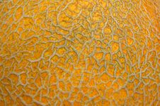 Melon Surface Stock Photos Melon Surface Stock Photos