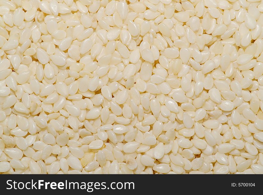 White sesame seeds macro 1:3. White sesame seeds macro 1:3