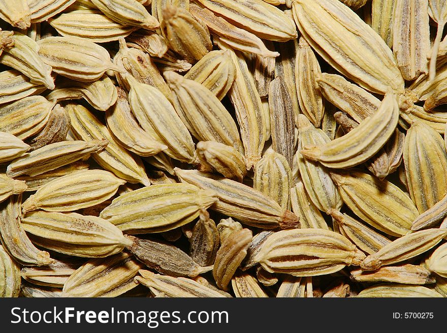 Fennel seeds closeup macro 1:1. Fennel seeds closeup macro 1:1