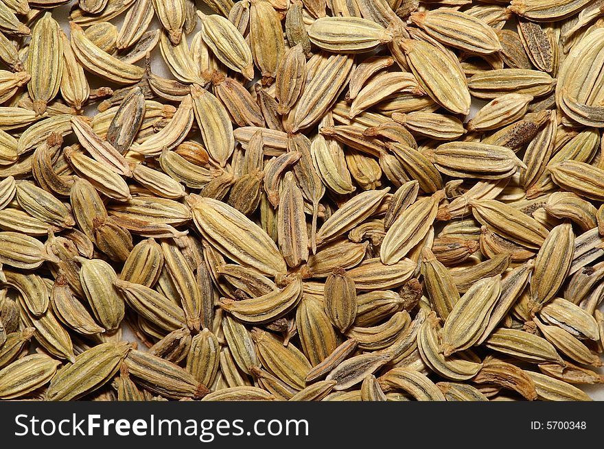 Fennel seeds closeup macro 1:3. Fennel seeds closeup macro 1:3