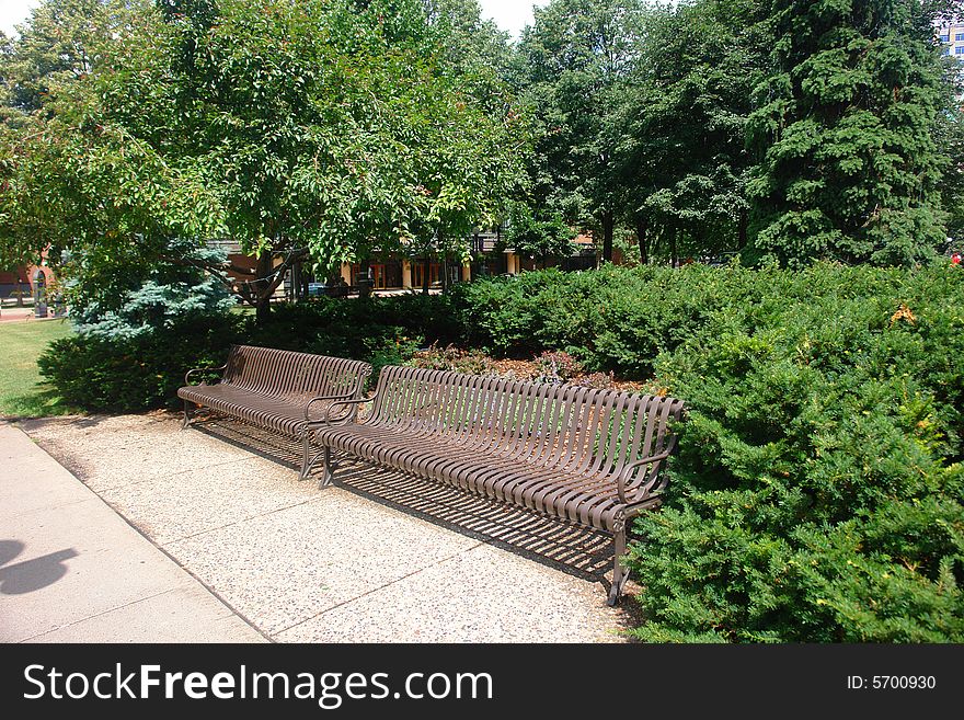 A picture of two benches surrounded by greenery