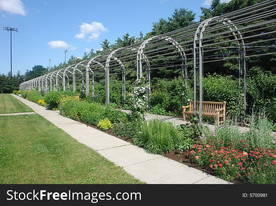 A picture of flower and plant arch in summer. A picture of flower and plant arch in summer