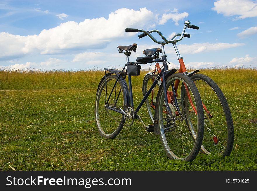 Old bicycles stand on a grass