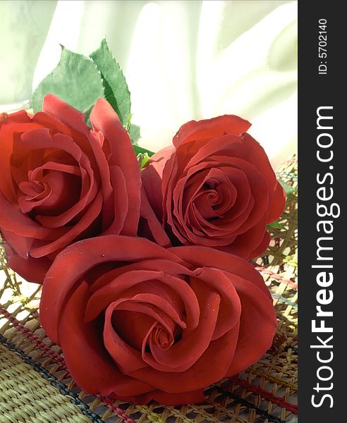 Nosegay of three red roses on light background. Nosegay of three red roses on light background