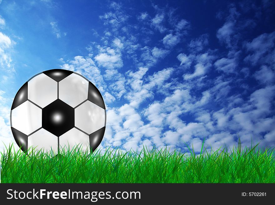 A soccer ball in the grass