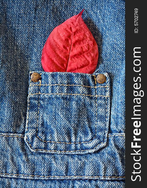 Red leaf on blue jeans kid pocket