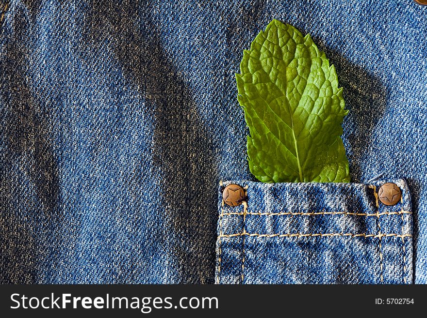 Green mint leaf on blue jeans kid pocket