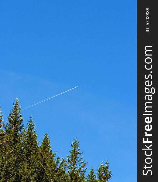 Forest and clear blue sky with a small airplane track

*with space for text (copyspace). Forest and clear blue sky with a small airplane track

*with space for text (copyspace)