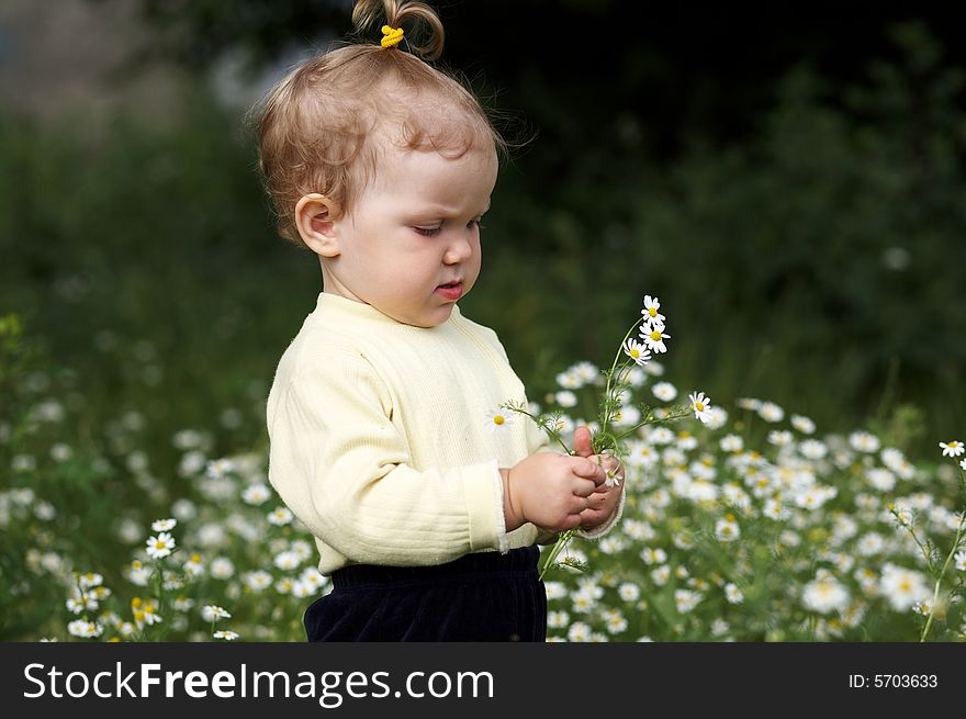 Baby girl amongst a field with flowers. Baby girl amongst a field with flowers