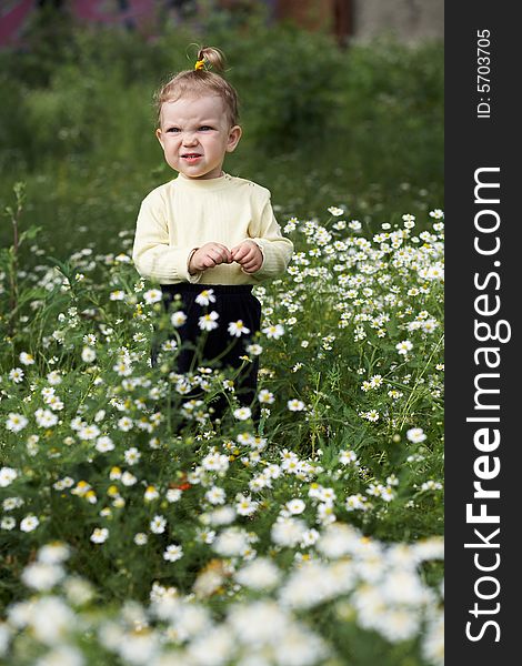 Baby-girl amongst a field with white flowers. Baby-girl amongst a field with white flowers
